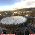 14_25-nest.jpg