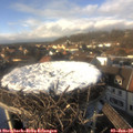 14_30-nest.jpg
