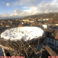 14_35-nest.jpg