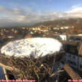 14_40-nest.jpg