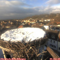 14_45-nest.jpg