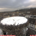 14_55-nest.jpg