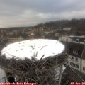 15_00-nest.jpg
