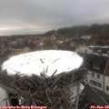 15_05-nest.jpg
