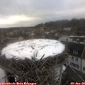 15_15-nest.jpg