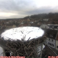 15_20-nest.jpg