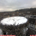15_25-nest.jpg