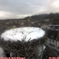 15_30-nest.jpg
