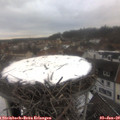 15_40-nest.jpg