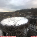 15_45-nest.jpg