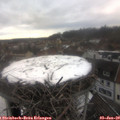 15_55-nest.jpg