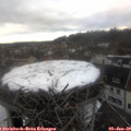 16_00-nest.jpg