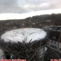 16_10-nest.jpg
