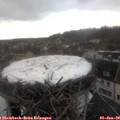 16_15-nest.jpg