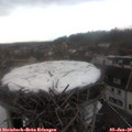 16_20-nest.jpg