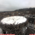 08_25-nest.jpg