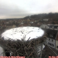 08_40-nest.jpg