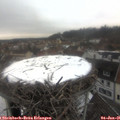 08_45-nest.jpg