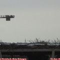08_50-mast.jpg