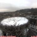 08_55-nest.jpg