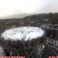 09_00-nest.jpg