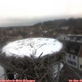 09_05-nest.jpg