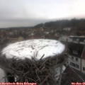 09_15-nest.jpg