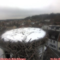 09_20-nest.jpg