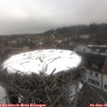 09_25-nest.jpg