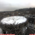 09_30-nest.jpg
