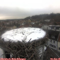 09_40-nest.jpg