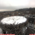 09_45-nest.jpg