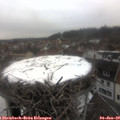 10_05-nest.jpg