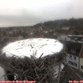 10_15-nest.jpg