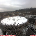 11_00-nest.jpg