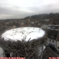 11_05-nest.jpg