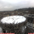 11_25-nest.jpg