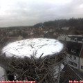 11_30-nest.jpg