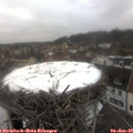 11_55-nest.jpg
