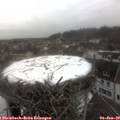 12_10-nest.jpg