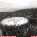 12_55-nest.jpg