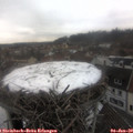 13_10-nest.jpg