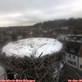 13_15-nest.jpg