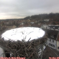 13_20-nest.jpg