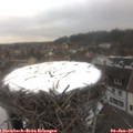 13_25-nest.jpg