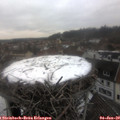 13_40-nest.jpg