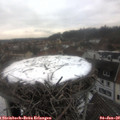 13_45-nest.jpg