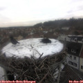 14_10-nest.jpg