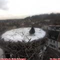 14_15-nest.jpg