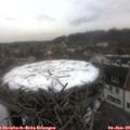14_30-nest.jpg